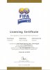 FIFA reccommended 2 star mark for Cairo field.jpg