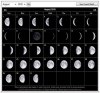 Moon Phases Aug-10.jpg
