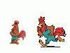 rooster4.gif