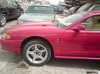 DSC00050.jpg