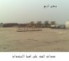 20090619514.jpg
