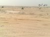 20090620537.jpg