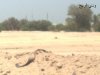 20090622569.jpg