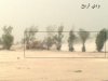 20090623587.jpg