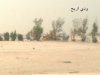 20090623588.jpg