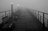 84930other1fl5.jpg