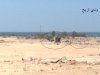 20090725763.jpg