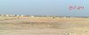 20090807835.jpg