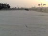 20090821892.jpg