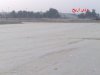20090821899.jpg