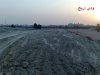 20090821906.jpg