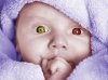 Baby.jpg Baby.jpg