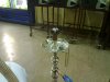 20091107008.jpg