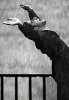 rain21.jpg