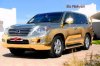 LX570 Golden.jpg