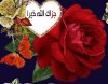 ورد.jpg
