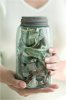 money_jar.jpg