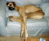 Long%20leg.jpg