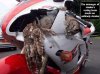 motor.jpg