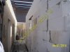 100_0006.jpg