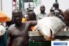 nigeriafishing14_thumb.jpg