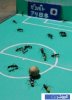 Pics_Ant_Soccer.jpg Pics_Ant_Soccer.jpg
