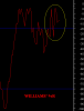WILLIAMS '%R.png