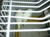 201009042436.jpg