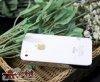Fake_White_iPhone_01.jpg