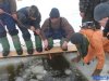 24753,xcitefun-image020.jpg