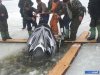 24772,xcitefun-image022.jpg