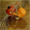 Funny%20Food%20-%20Tomato%20And%20Orange.jpg