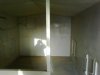 2010100.jpg