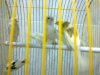 201010073827.jpg