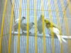 201010073831.jpg