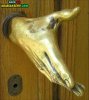 mwhxy56sag1x4wzc62.jpg