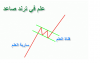 علم فى ترند صاعد.png