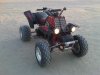 IMG00464-20101125-1611بي.jpg