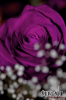 get-4-2010-at1hjree.png get-4-2010-at1hjree.png