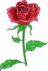 imagesCARDVW8H.jpg