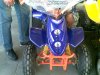 20110204(004).jpg