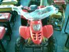20110204(002).jpg