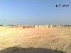 201104152306.jpg