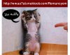 صور دانه.jpg