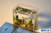 thumbs_small_aquarium-0002.jpg