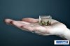 thumbs_small_aquarium-0005.jpg