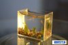 thumbs_small_aquarium-0007.jpg