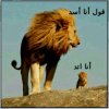 أسد.jpg