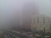 IMG00358-20110109-0727.jpg