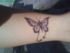 henna butterfly.jpg